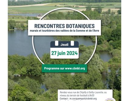 Rencontres botaniques 2024 en vallée de la Somme !