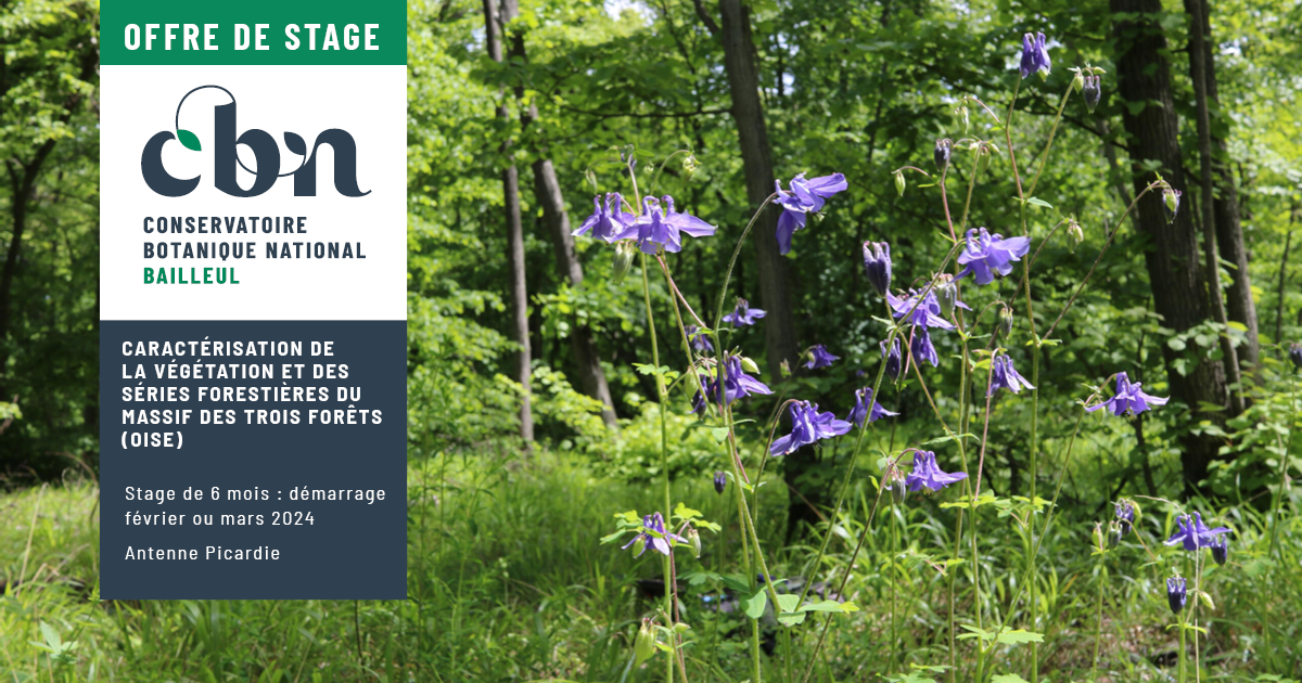 Offre de stage : "Caractérisation de la végétation et des séries forestières du massif des Trois Forêts (60)"