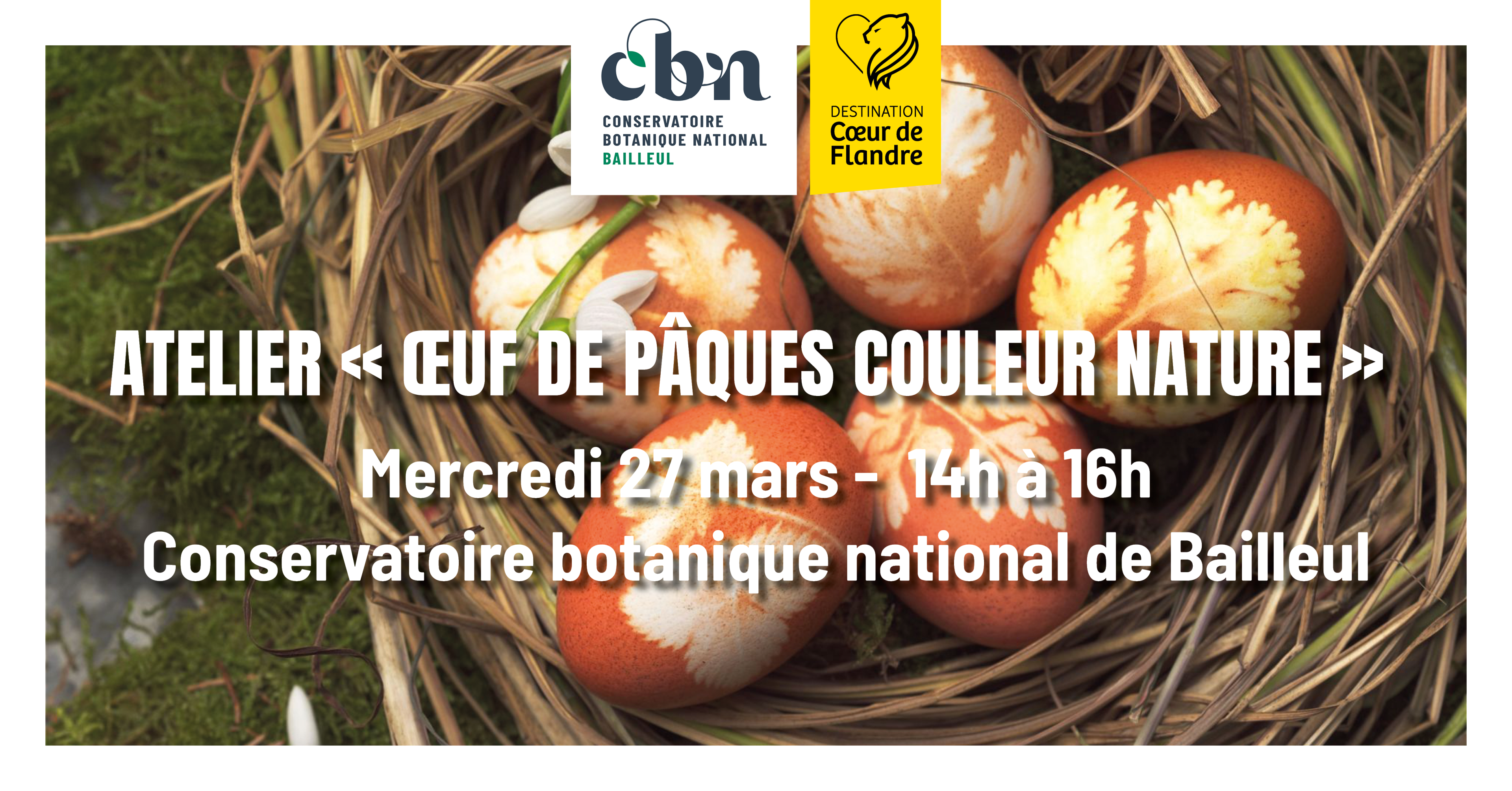 Atelier "œufs de Pâques couleur nature" au CBN de Bailleul 