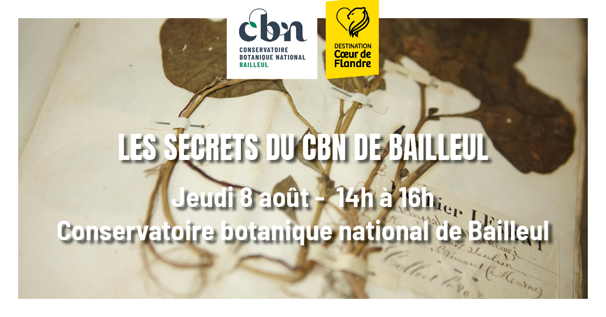 Sortie nature « Les secrets du CBN de Bailleul »