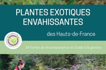 Plantes exotiques envahissantes des Hauts-de-France 