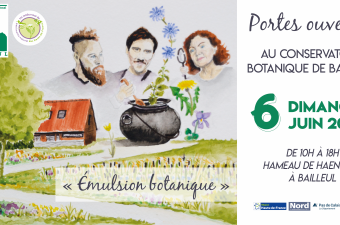 "Émulsion botanique" au Conservatoire botanique national de Bailleul