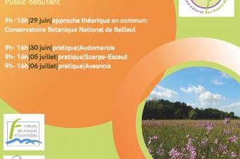 Journées d'initiation sur la flore des zones humides (Nord et Pas-de-Calais)