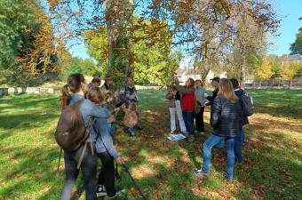 A la découverte des lichens du parc Jean-Jacques Rousseau à Ermenonville