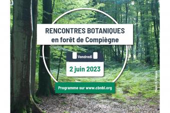  Participez aux Rencontres botaniques 2023 en forêt de Compiègne ! 