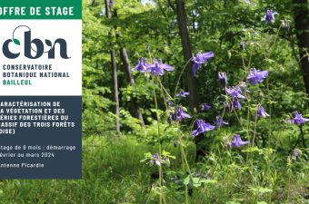 Offre de stage : "Caractérisation de la végétation et des séries forestières du massif des Trois Forêts (60)"