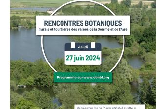 Rencontres botaniques 2024 en vallée de la Somme !