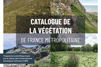 Le catalogue de la végétation de France métropolitaine est disponible en ligne