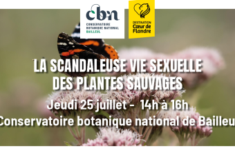  Sortie nature « La scandaleuse vie sexuelle des plantes »