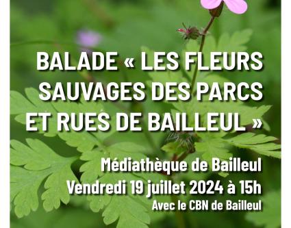 Balade "Les fleurs sauvages des parcs et rues de Bailleul" (Nord)