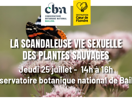  Sortie nature « La scandaleuse vie sexuelle des plantes »