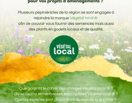  Se fournir en herbacées locales dans les Hauts-de-France, c’est possible grâce à la marque Végétal local® !