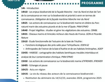 Le CBN de Bailleul intervient lors du webinaire "Mer et littoral des Hauts-de-France”