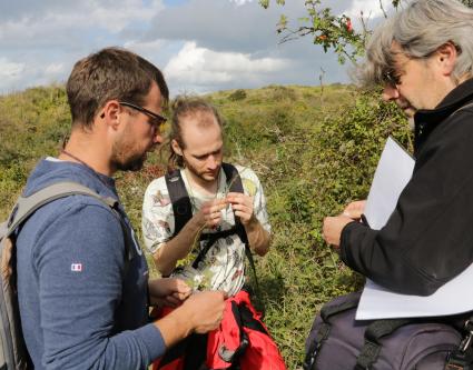 Une journée de formation sur les Rosa pour l'équipe scientifique du CBN de Bailleul