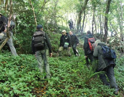 Le nez dans les mousses : une sortie du collectif bryologique réussie