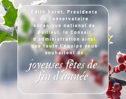  Joyeuses fêtes de fin d'année ! 